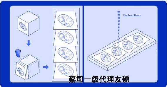 宝坻蔡司宝坻扫描电镜