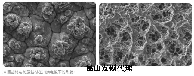 宝坻蔡司宝坻扫描电镜